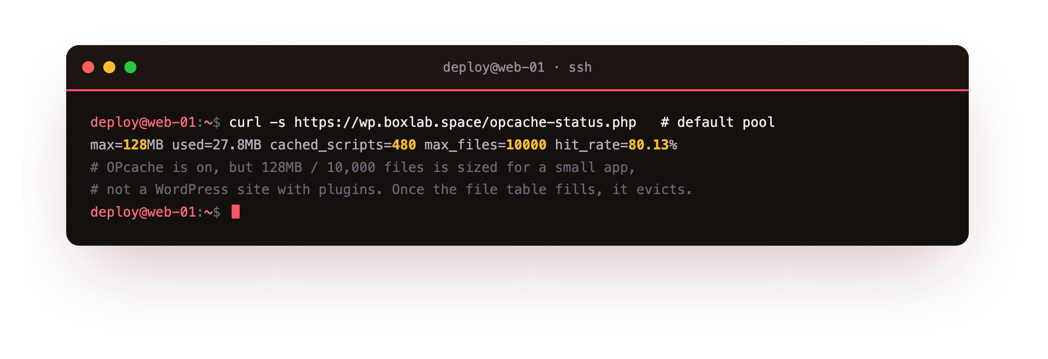 Reading OPcache's live status through PHP-FPM before tuning: the default pool at 128MB with a 10,000-file ceiling, 480 cached scripts and an 80.13% hit rate, on by default but sized for a small app rather than a plugin-heavy WordPress site