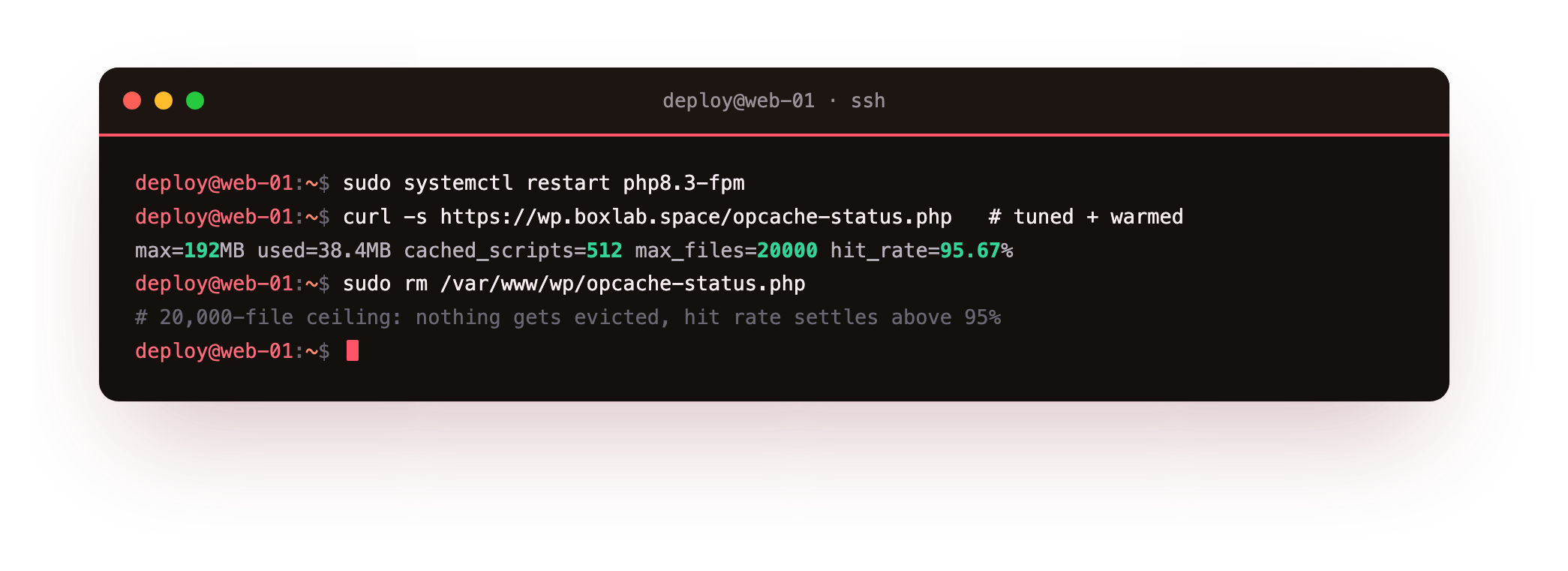 OPcache after tuning and warming: the pool raised to 192MB with a 20,000-file ceiling, 512 cached scripts and a 95.67% hit rate, so no WordPress or plugin file gets evicted and recompiled on a busy site