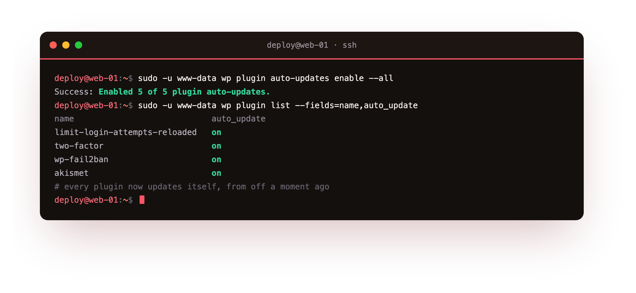 Turning on automatic updates: wp-cli enabling auto-updates for core minor releases, all plugins and all themes, and wp plugin list confirming every plugin flipped from off to on in the auto_update column