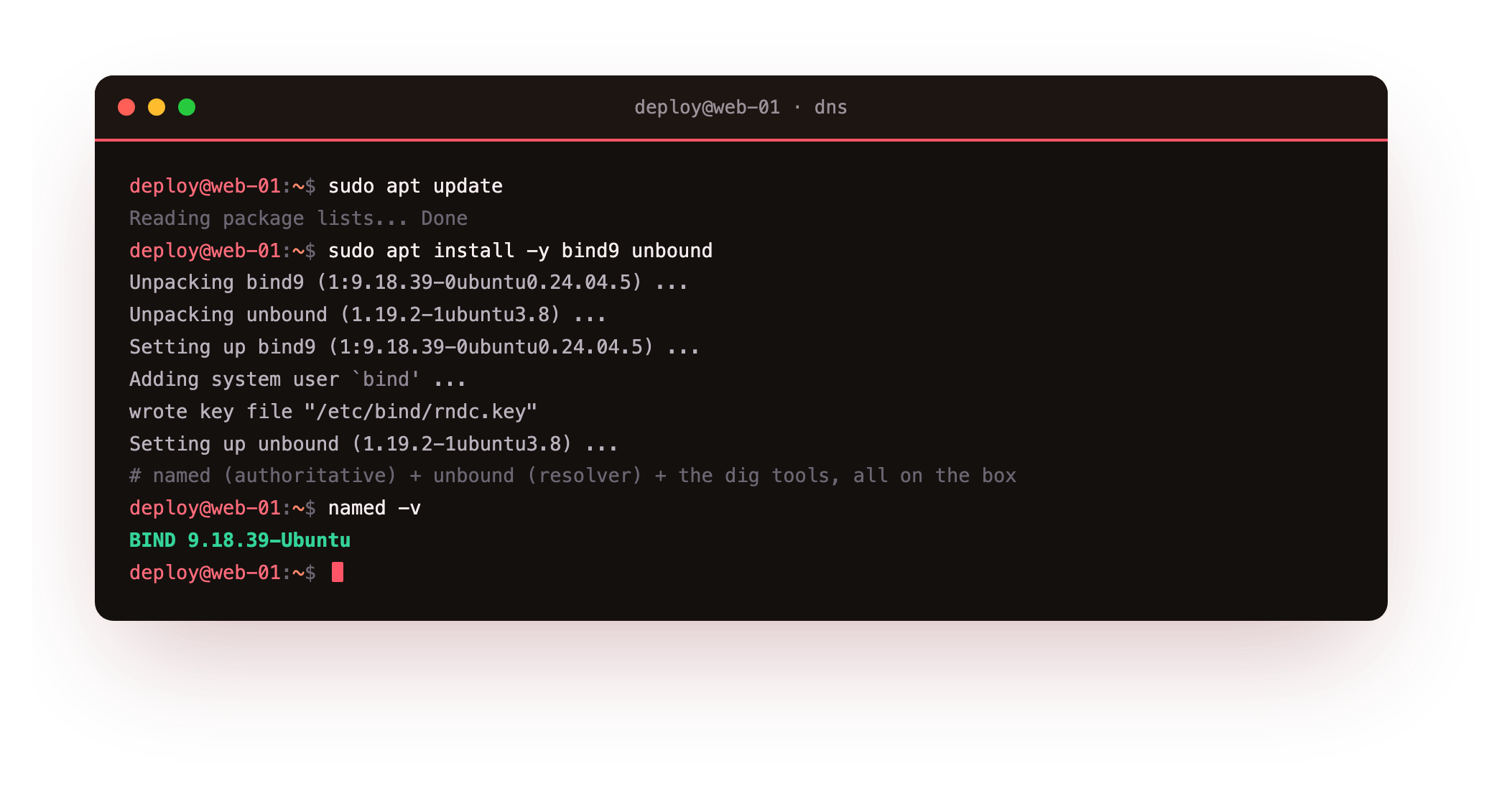 apt installing bind9 and unbound on a bare Ubuntu 24.04 slice, unpacking the authoritative named daemon and the unbound resolver together and registering both as systemd services, the from-zero first step before any zone exists
