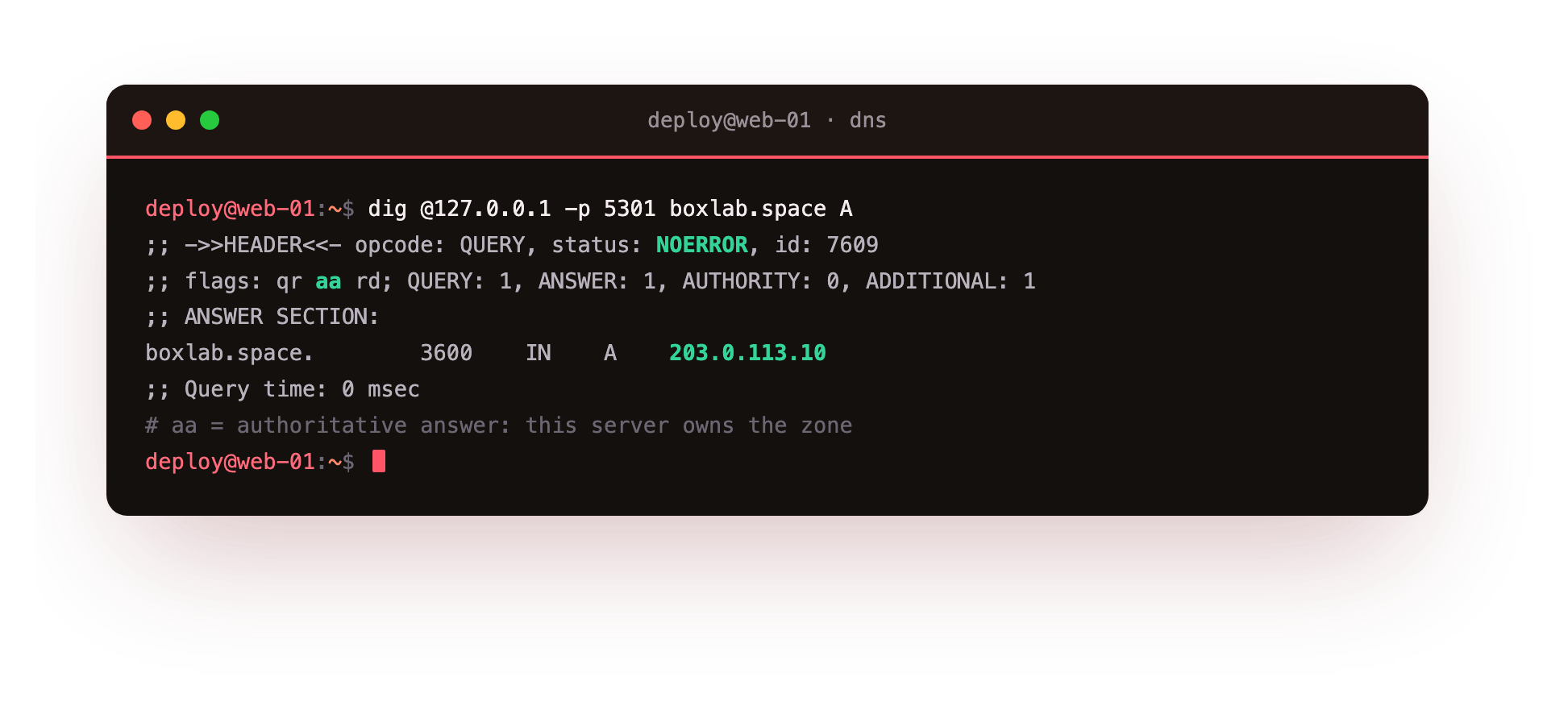 dig querying the local authoritative server on port 5301 for the boxlab.space A record, the header showing flags qr aa rd with the authoritative aa flag set and the answer 203.0.113.10