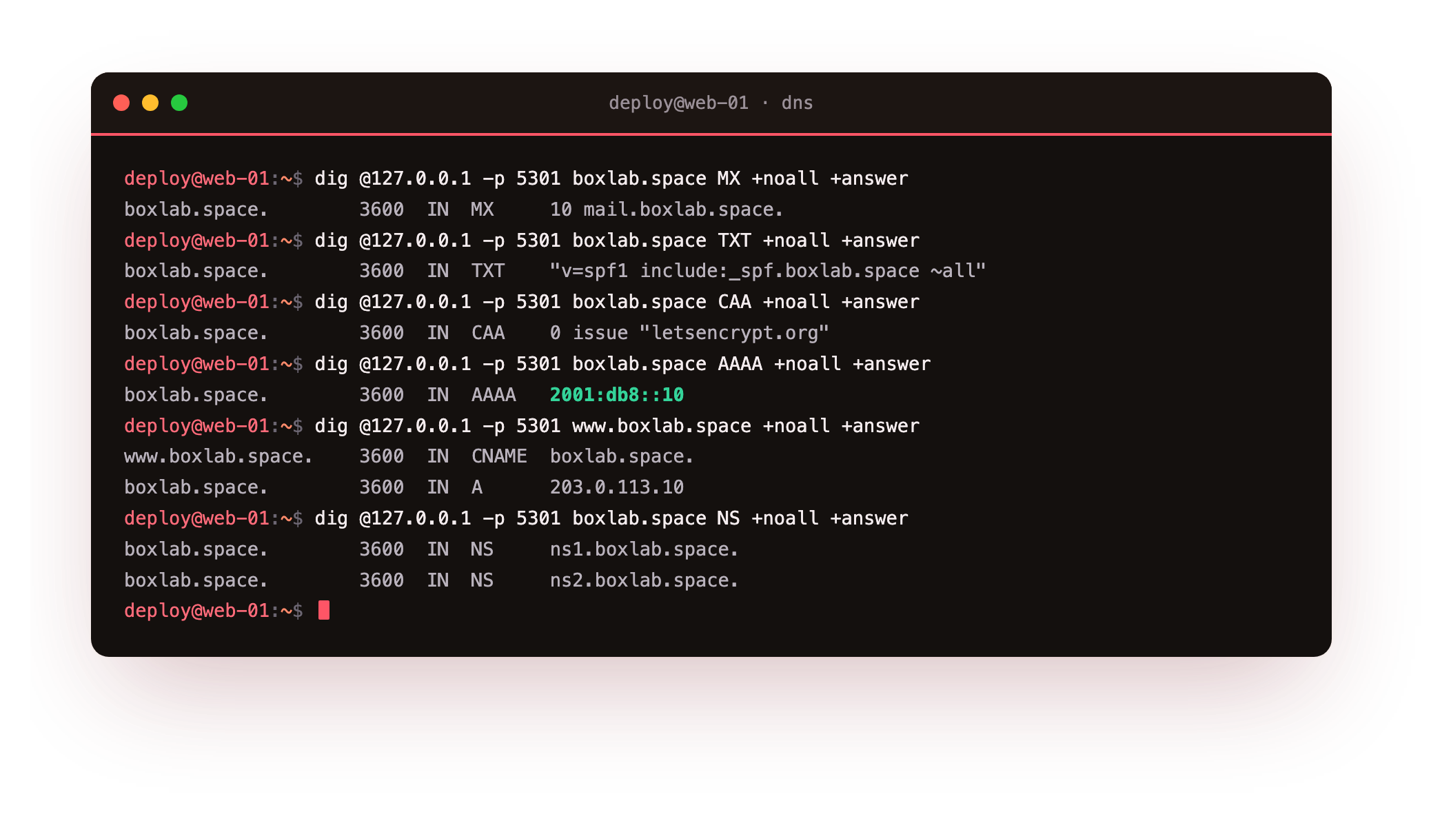 A sequence of dig queries against the authoritative server showing the MX, TXT, CAA, AAAA, CNAME and NS record types for boxlab.space, each with its answer and TTL