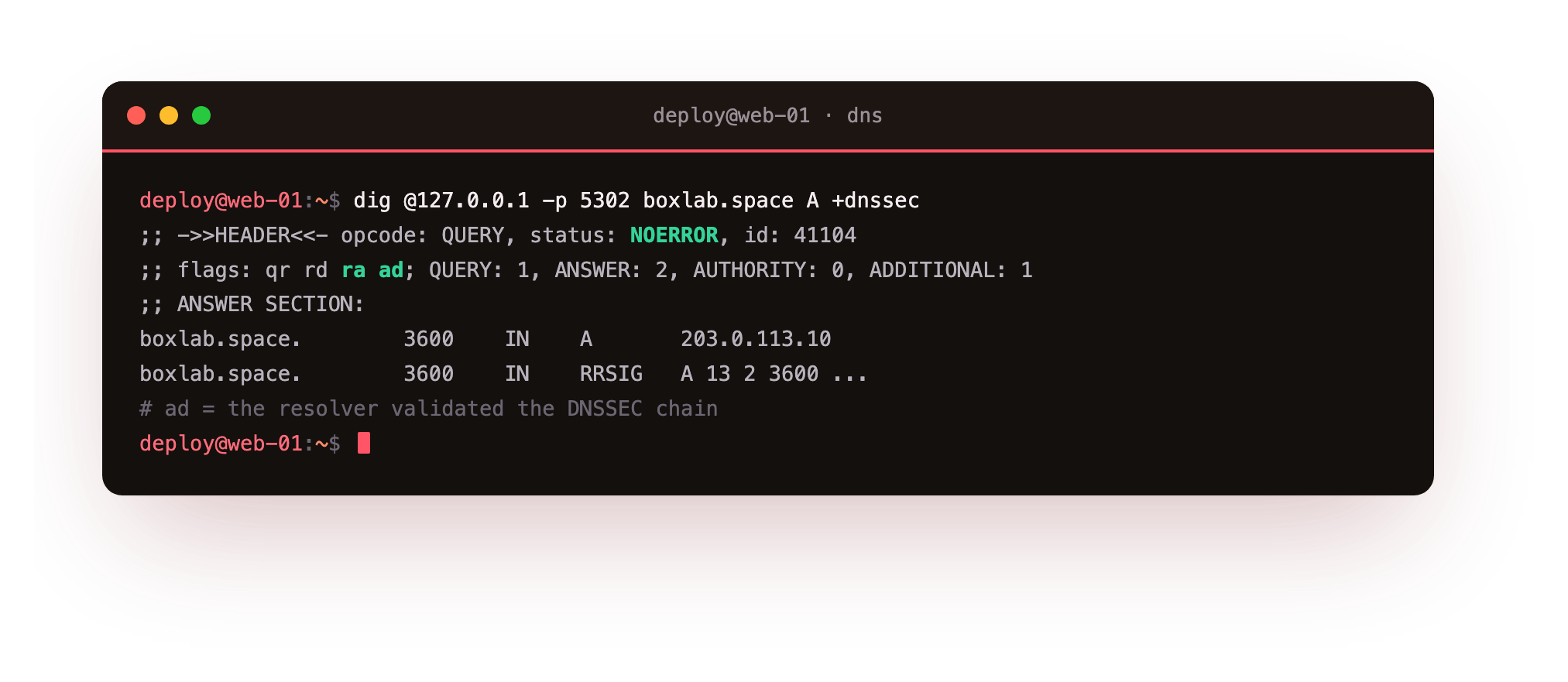 dig requesting DNSSEC from the unbound resolver, the header showing flags qr rd ra ad with recursion available and the ad flag proving the answer was validated