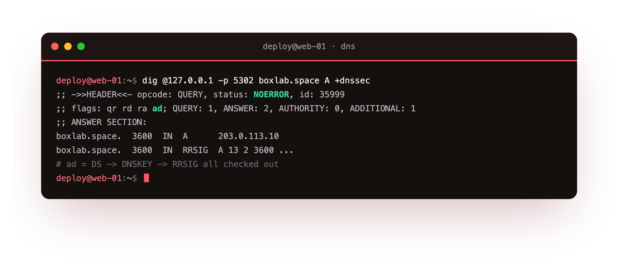 dig requesting DNSSEC from the validating unbound resolver, the header showing flags qr rd ra ad with the ad flag proving the DNSSEC chain from DS to DNSKEY to RRSIG validated