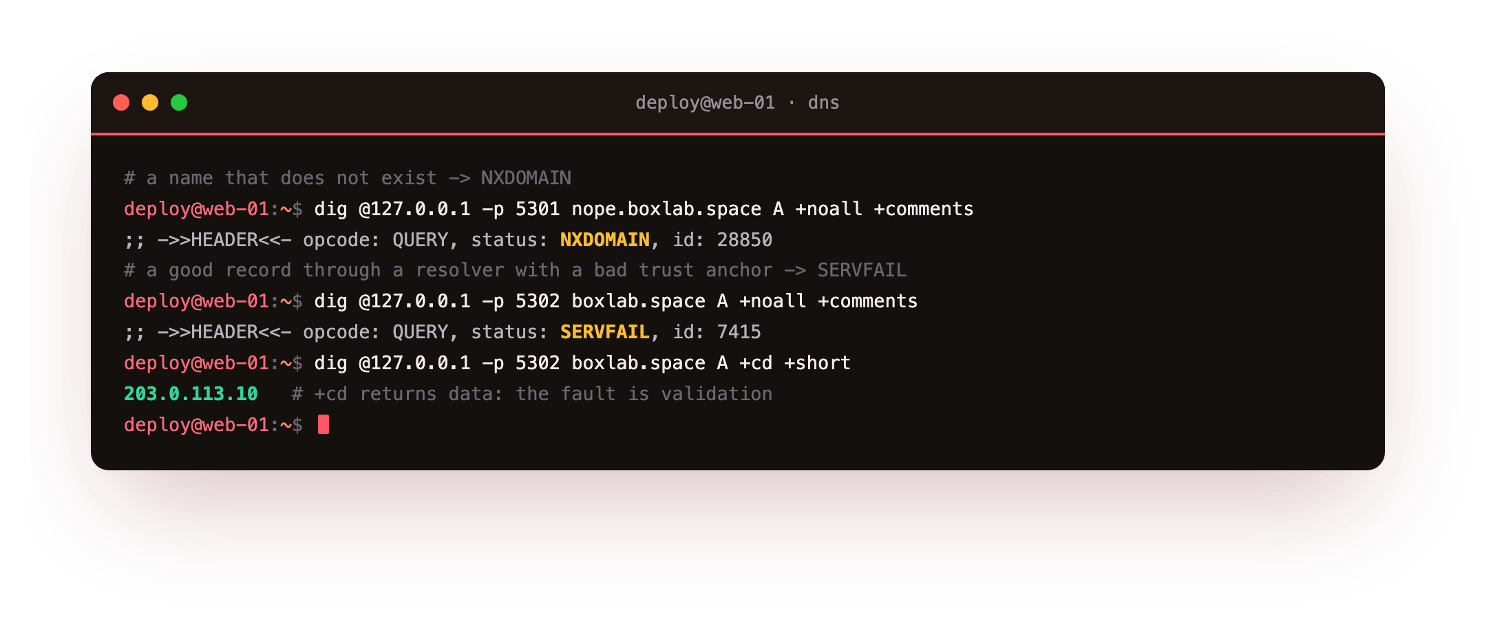 A missing name returning status NXDOMAIN with the zone SOA in the authority section, contrasted with a SERVFAIL from a validating resolver on a bad trust anchor where adding +cd returns the data and proves the fault is validation