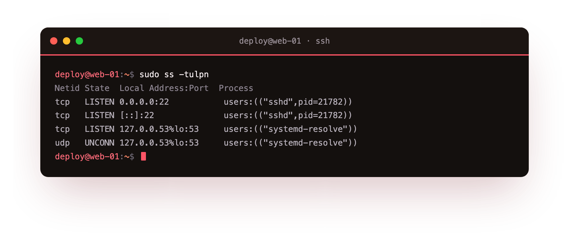 Only SSH and the local resolver listening