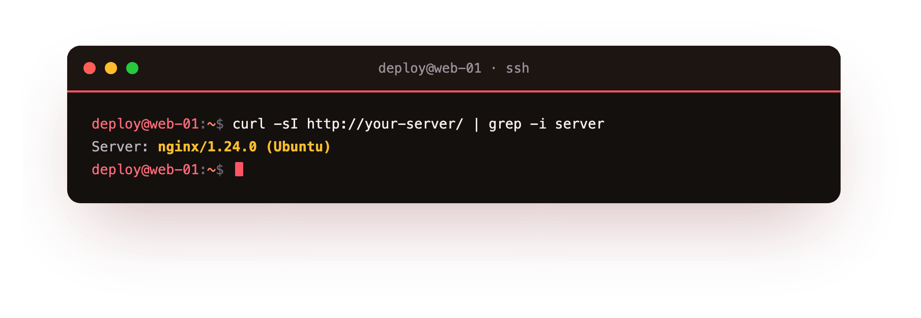 Default nginx leaking its exact version