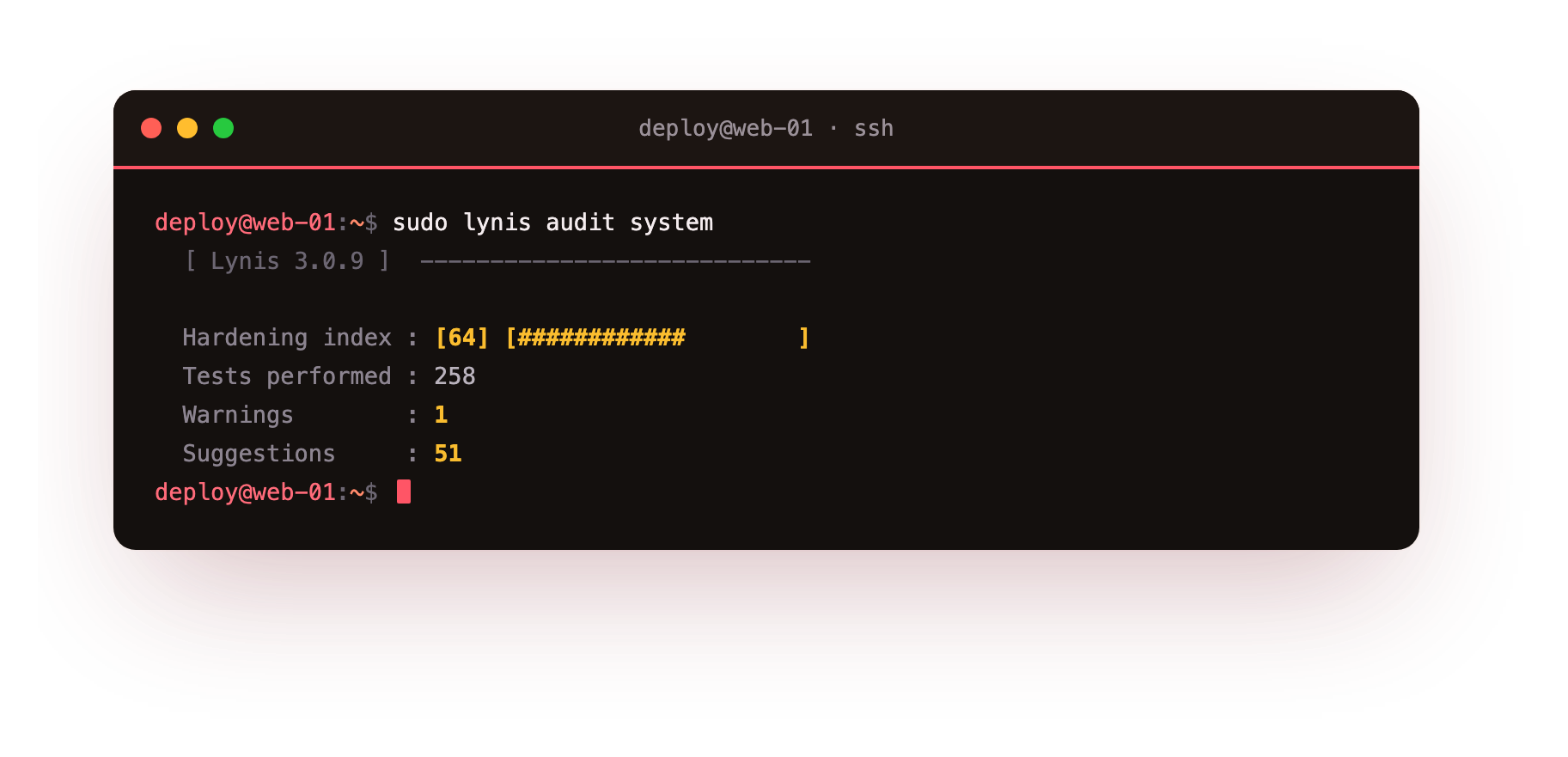 Lynis hardening index and findings, a number you can track