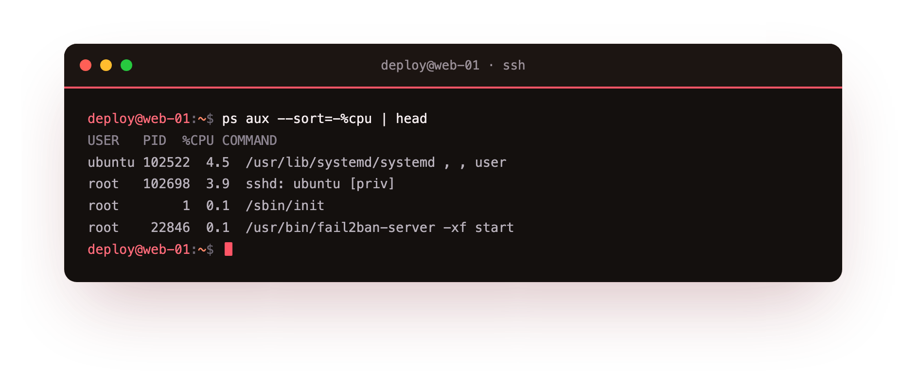 Top processes: nothing unexpected here