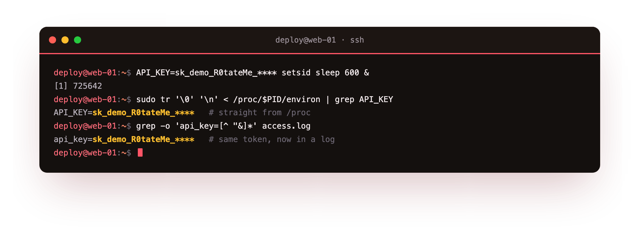 The environment of a running process dumped from proc showing the API key in plain text, and a token leaking from a URL query string into an access log