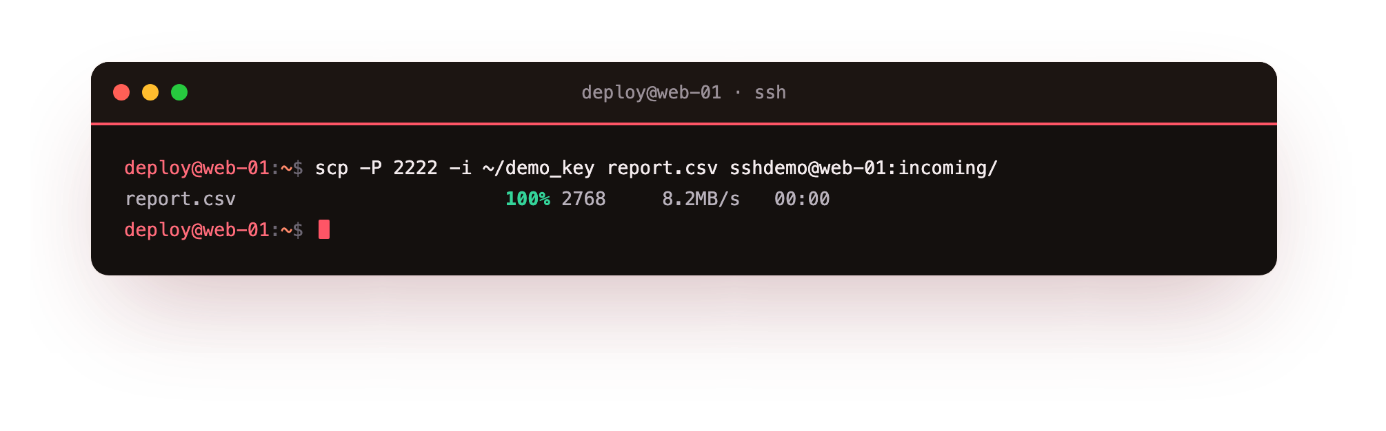 scp copying a file to the demo account over SSH with a progress line showing one hundred percent, the byte count and the transfer rate