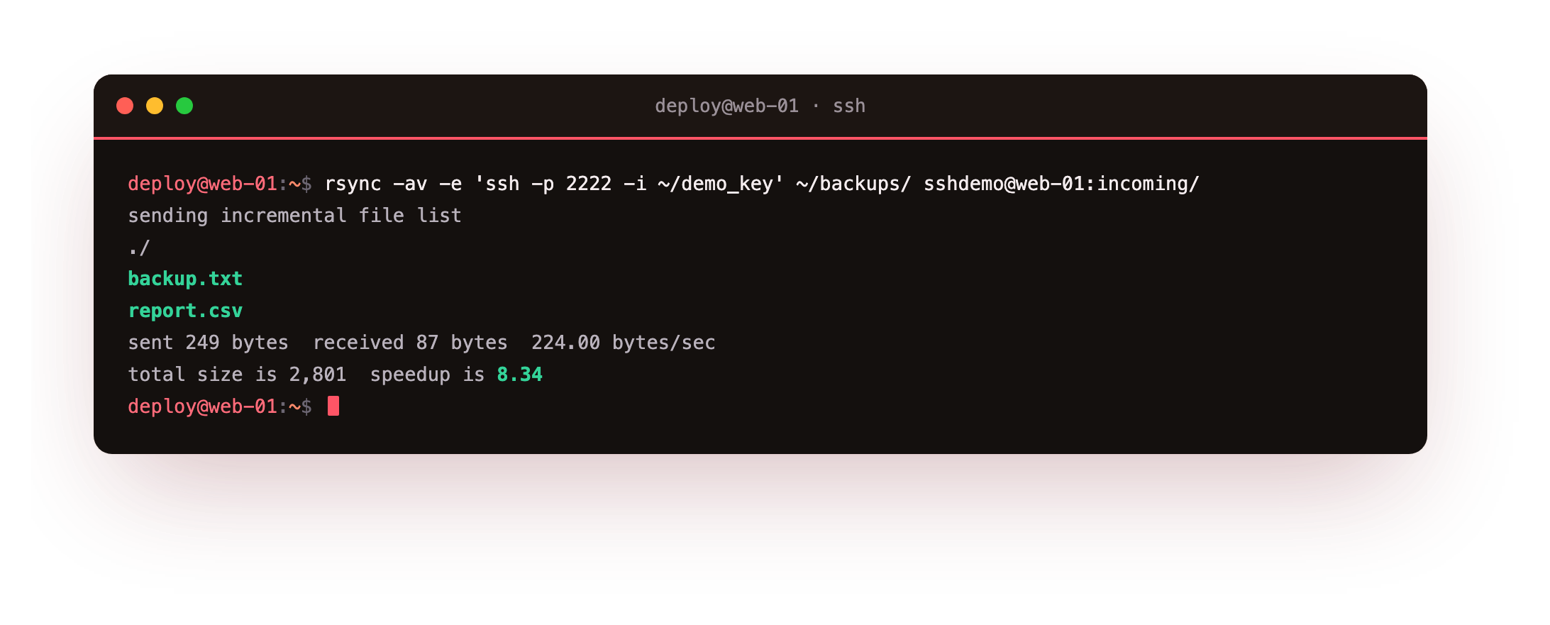 rsync over SSH sending an incremental file list of two files and reporting the bytes sent against the total size with the delta speedup figure