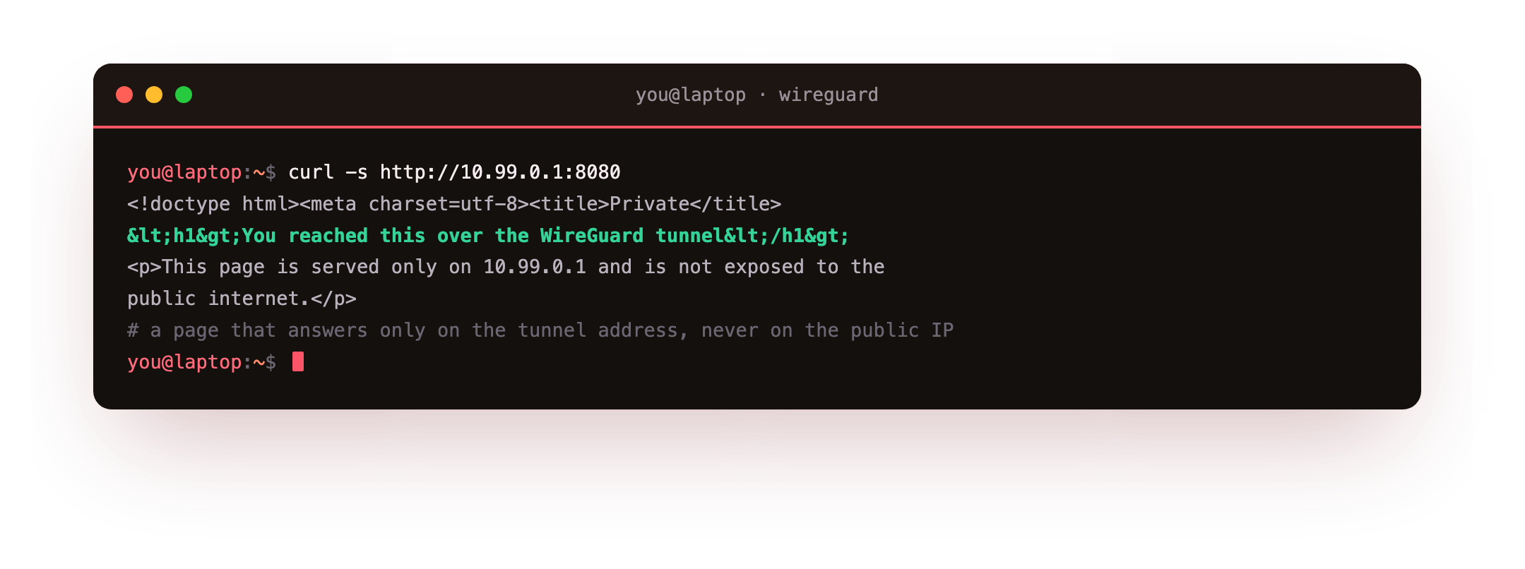 curl over the tunnel returning the private page HTML with HTTP 200, a service that answers only on the tunnel address 10.99.0.1 and is invisible to the public internet