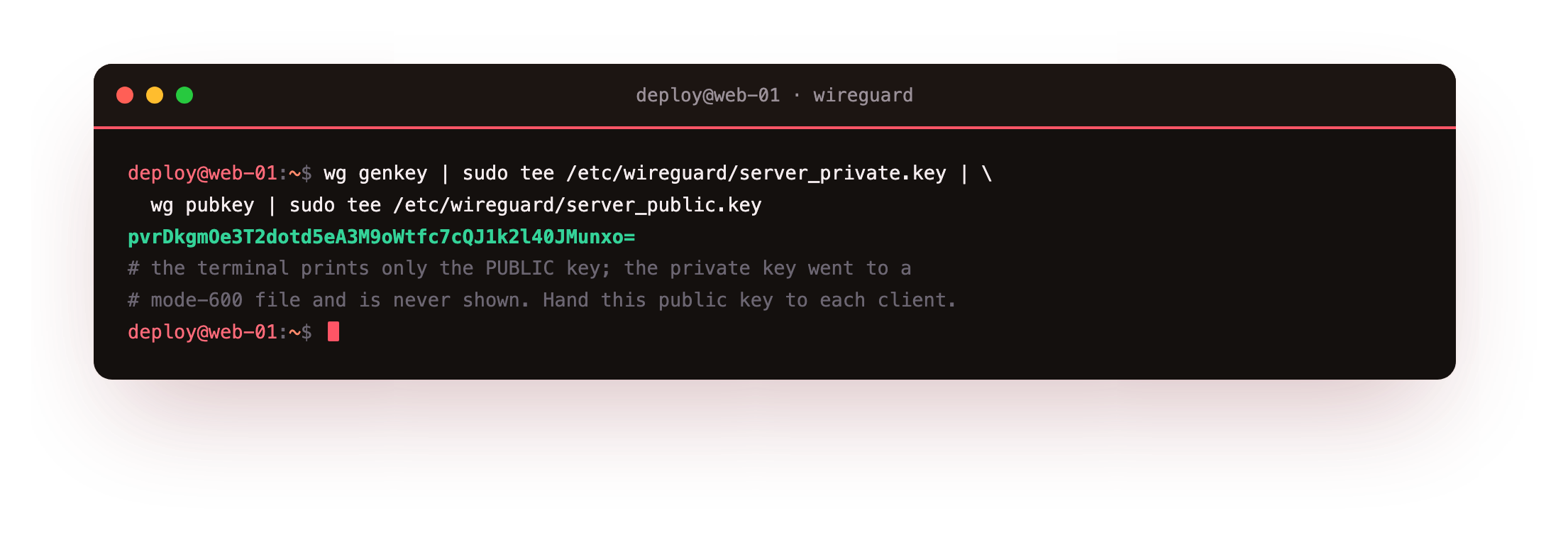 wg genkey piped into wg pubkey generating the server keypair, the private key written to a mode-600 file and the derived public key printed, safe to hand to clients