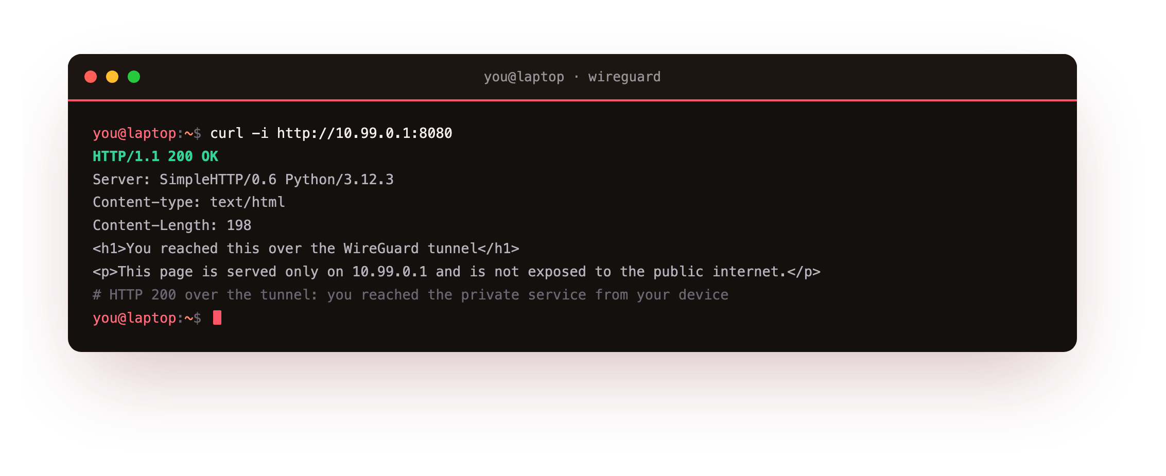 curl over the tunnel returning HTTP 200 and the private page, served only on 10.99.0.1 and reached from the connected phone