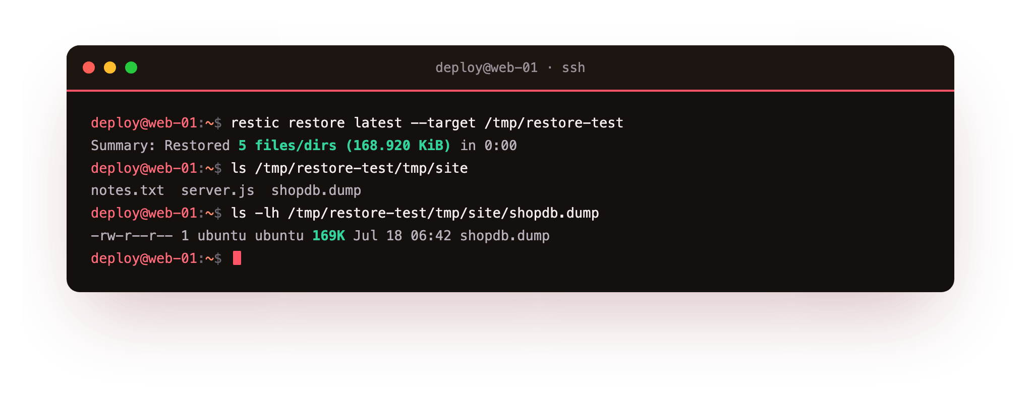 A full restore verified: five files back, the database dump intact at 169 KiB