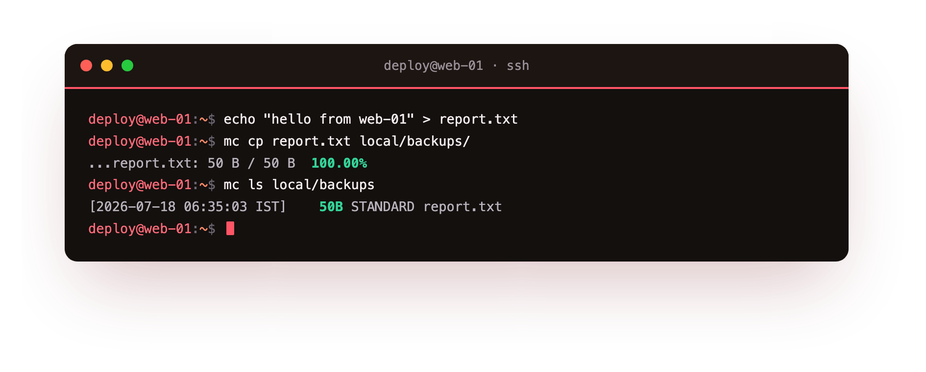 A file uploaded as an object: 50 bytes, class STANDARD