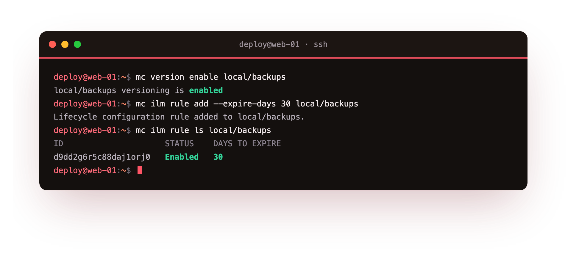 Versioning enabled and a 30-day expiry lifecycle rule in force